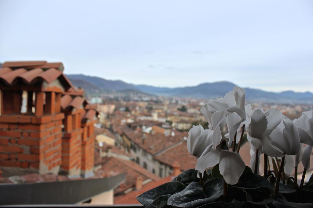 Casa Vacanza Fontana Del Delfino Bergamo Zimmer foto