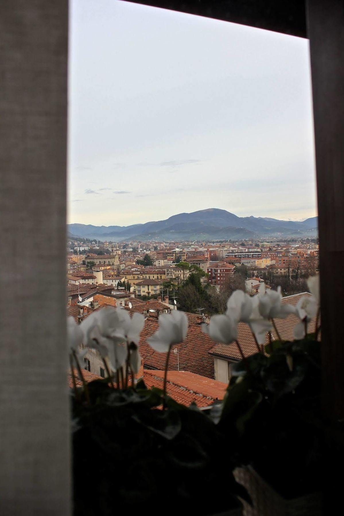 Casa Vacanza Fontana Del Delfino Bergamo Exterior foto